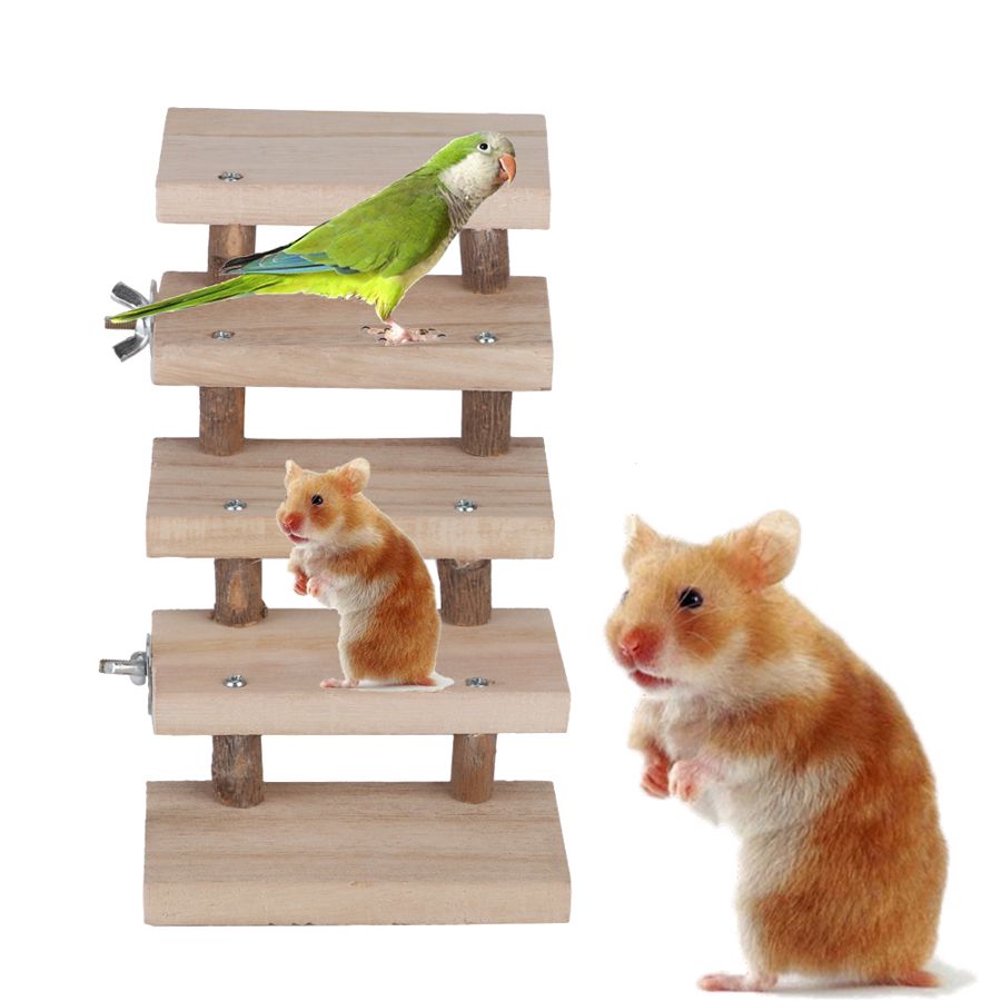 Wooden Pet Ladder Toy for Rats